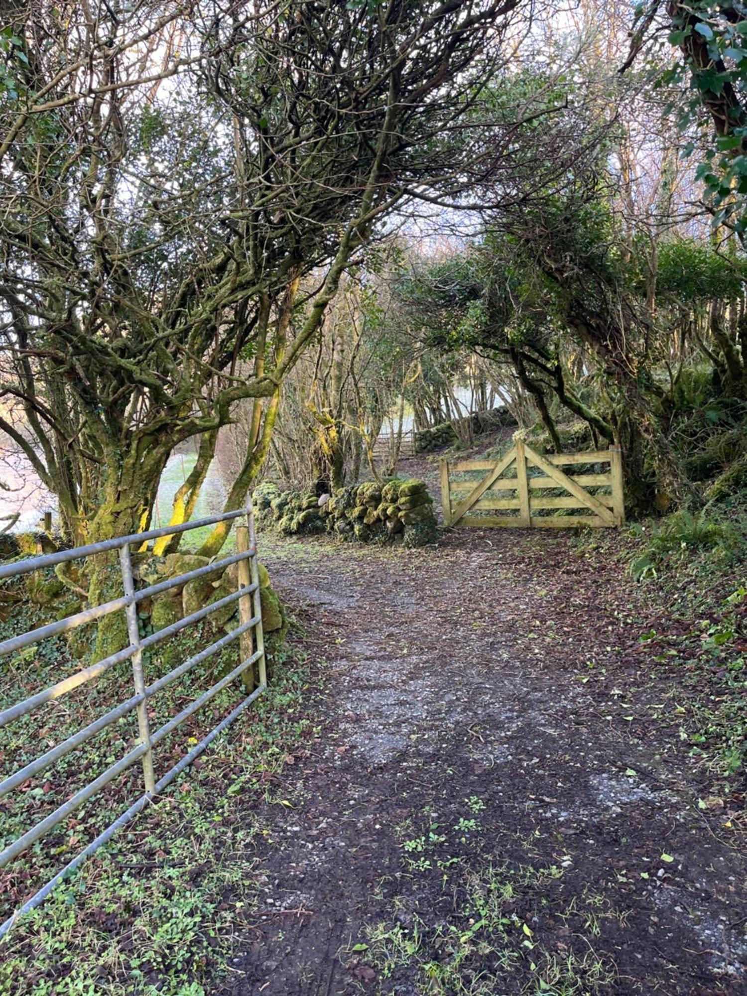 Wild Honey Inn Lisdoonvarna Eksteriør bilde