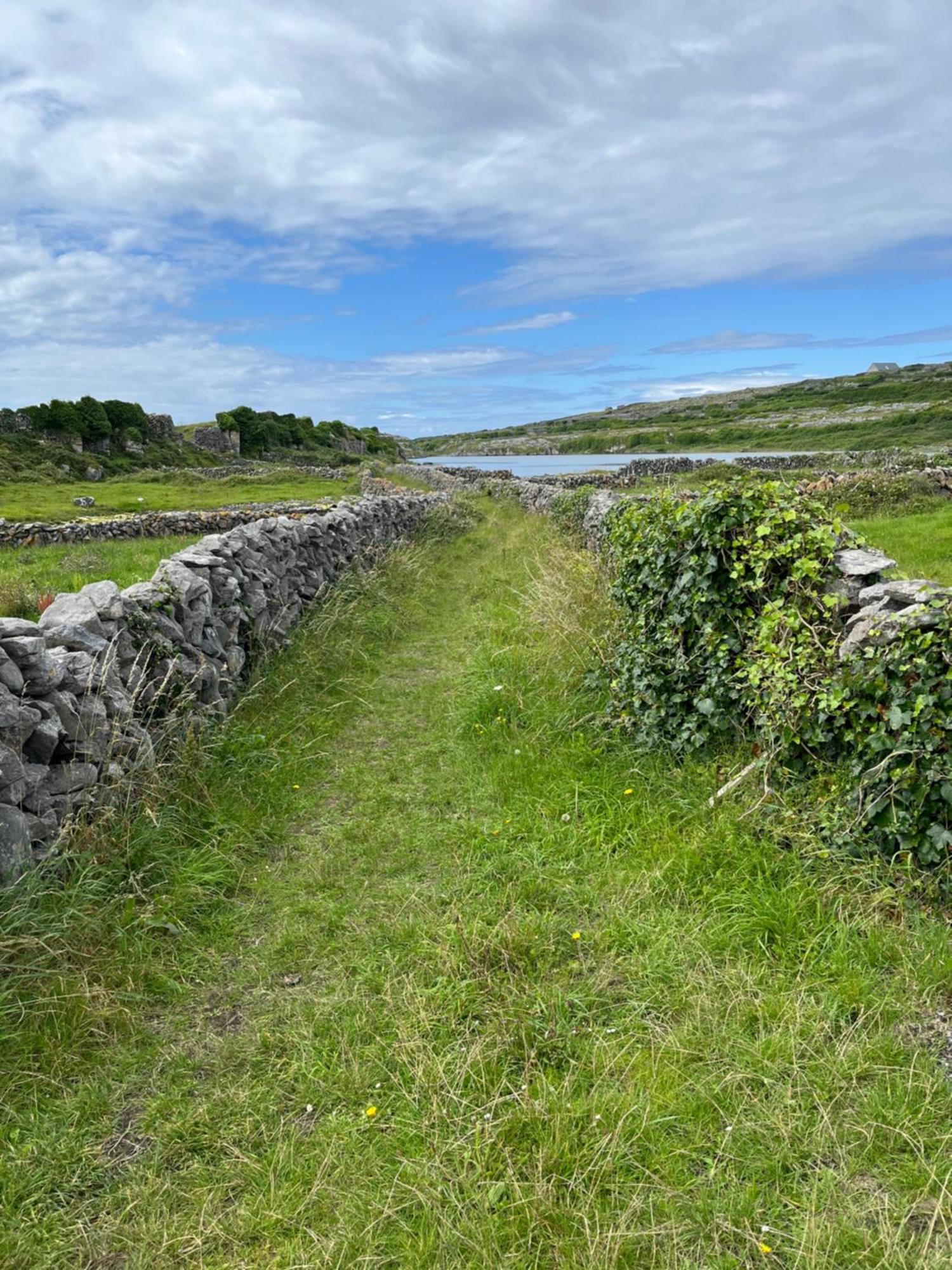 Wild Honey Inn Lisdoonvarna Eksteriør bilde